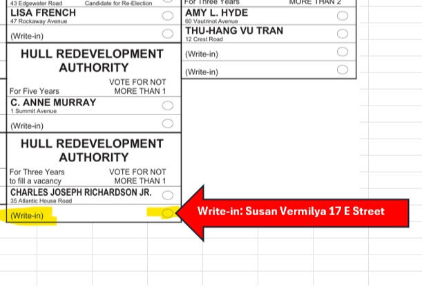 Susan's Campaign Sign